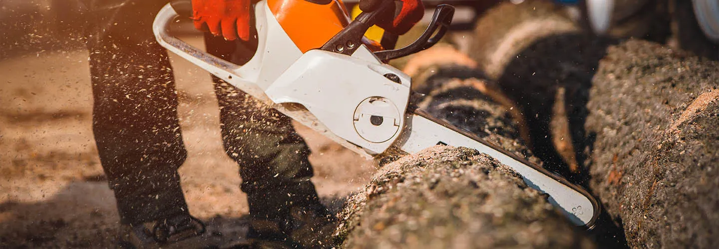 Nahaufnahme einer STIHL-Motorsäge beim Durchtrennen eines Baumstamms